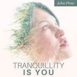 Tranquillity Is You: Serene Music to Give Rest to Your Mind and Body, Say No to Toxicity, Learn to See Positivity - John Flow