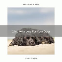 Wind Whispers For Your Dogs - Pets Relax