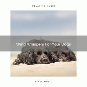 Wind Whispers For Your Dogs - Pets Relax