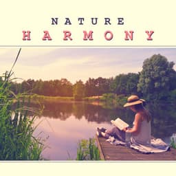 Nature Harmony – Music for Relaxation, Deep Sleep, Peace of Mind, Soothing Water, Gentle Tracks - Various Artists