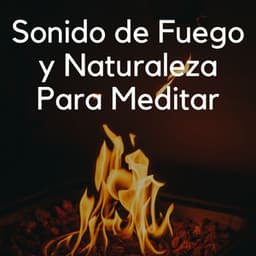 Sonido De Fuego Y Naturaleza Para Meditar - Estudio de efectos de chimenea