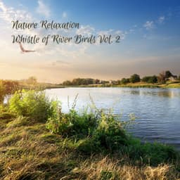 Nature Relaxation: Whistle of River Birds Vol. 2 - Music for Relaxing Cats