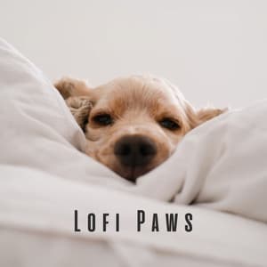 Lofi Paws: Chill Tunes for Happy Dogs - ChillHop Beats