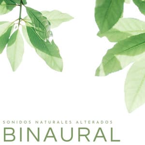 Binaural: Sonidos Naturales Alterados - Música de relajación profunda