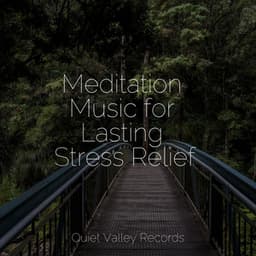 Meditation Music for Lasting Stress Relief - Natural Samples