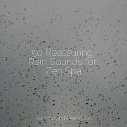50 Reassuring Rain Sounds for Zen Spa - Avslappning Sound