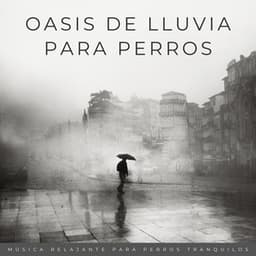 Oasis De Lluvia Para Perros: Música Relajante Para Perros Tranquilos - Trambiendo