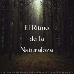 El Ritmo De La Naturaleza: Sonidos Ambientales Para Trabajar Sin Interrupciones - Música de Trabajo Clasico