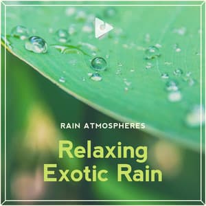 Relaxing Exotic Rain - Rainforest Sounds