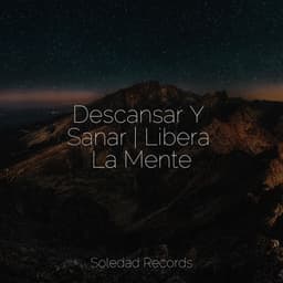 Descansar Y Sanar | Libera La Mente - Música relaxante