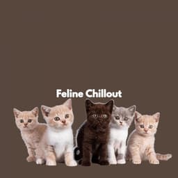 Feline Chillout - Jazz for Work Playlist