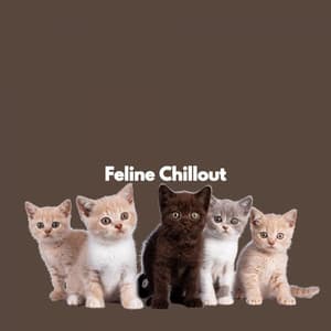 Feline Chillout - Jazz for Work Playlist
