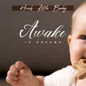 Awake in Dreams - Hush Little Baby