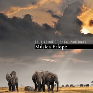 Relajación Oriental Profunda: Música Etíope con Vibraciones Africanas - Relajación Música Fondo Conjunto
