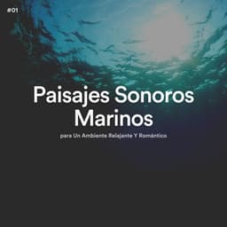 #01 Paisajes Sonoros Marinos para Un Ambiente Relajante Y Romántico - Olas del Mar