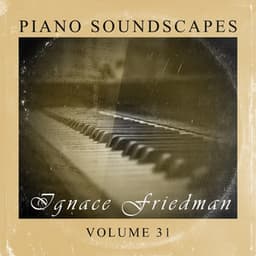 Piano Soundscapes, Vol. 31 - Ignaz Friedman