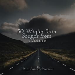 50 Winter Rain Sounds from Nature - Canción de Cuna