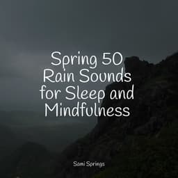 Spring 50 Rain Sounds for Sleep and Mindfulness - Sleep Makers Samples