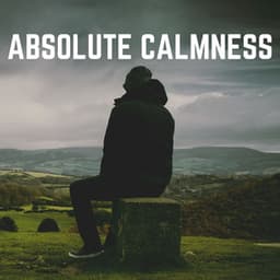 Absolute Calmness - Baby Sleep Music