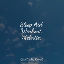 Sleep Aid Workout Melodies - Nature Sounds Nature Music