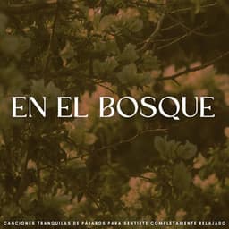 En El Bosque: Canciones Tranquilas De Pájaros Para Sentirte Completamente Relajado - Sonidos de la naturaleza báltica