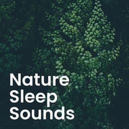 Nature's Serenity: Calming Sounds for Deep Sleep & Relaxation - Adam By Nature