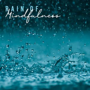 Rain of Mindfulness - Elijah Ages