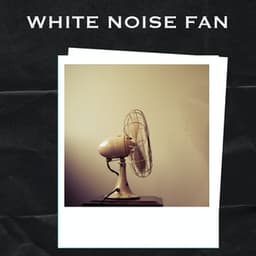 White Noise Fan - White Noise Fans