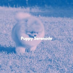 Puppy Serenade - Dog Music Zone