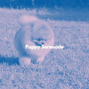 Puppy Serenade - Dog Music Zone