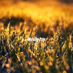 Morning Prep - Midnight Jazz Playlist