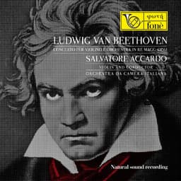 Ludwig van Beethoven: Concerto per violino e orchestra, Op. 61 - Ludwig van Beethoven