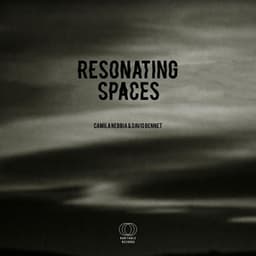 Resonating Spaces - Camila Nebbia