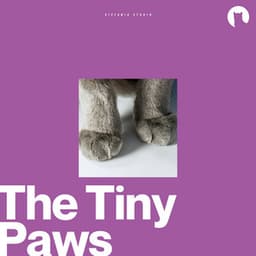 The Tiny Paws - Sleepy Cats