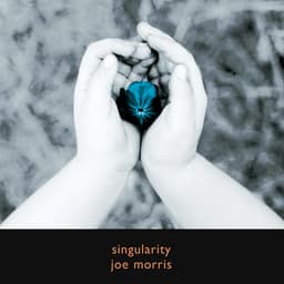 Singularity - Joe Morris