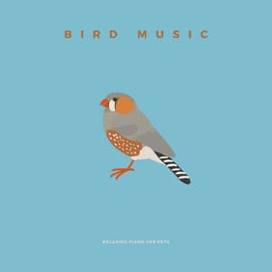 Bird Music - Relaxing Piano For Pets