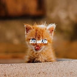 Cats and Fun - Easy Listening Background Music