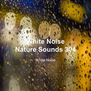 White Noise 304 - White Noise