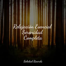 Relajación Esencial Serenidad Completa - Sonidos de lluvia para dormir