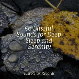 50 Blissful Sounds for Deep Sleep and Serenity - Drowsy Cloud