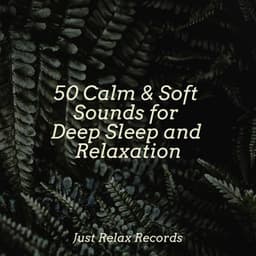 50 Calm & Soft Sounds for Deep Sleep and Relaxation - Meditation