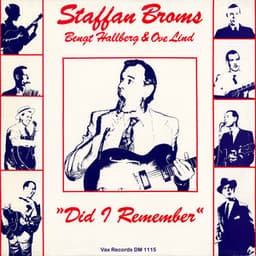 Did I Remember - Staffan Broms