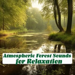 Atmospheric Forest Sounds for Relaxation - Mother Earth Sounds