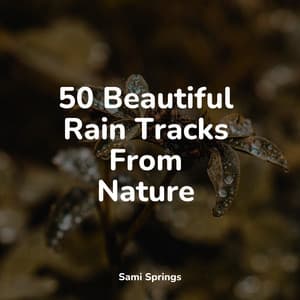 50 Beautiful Rain Tracks From Nature - Rain
