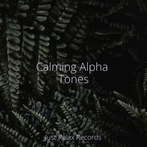 Calming Alpha Tones - Lullabyes