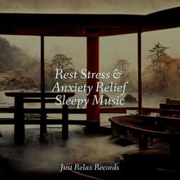 Rest Stress & Anxiety Relief Sleepy Music - Guided Meditation