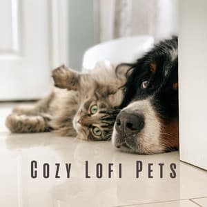 Cozy Lofi Pets: Mellow Calm Tracks - Lofis