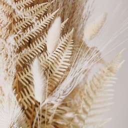 Melodies for its - Chakra Meditation Universe