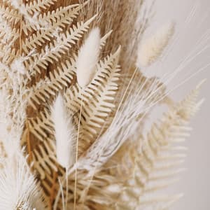 Melodies for its - Chakra Meditation Universe