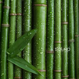 Rain on Bamboo Leaves - Sound Effects Zone